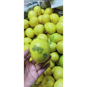 

Lemon California rijek / perasan 1kg