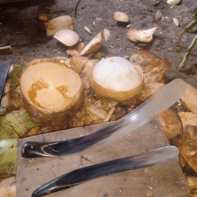 Pisau Tanduk (Kelapa Muda), 1 Set Ready masih banyak