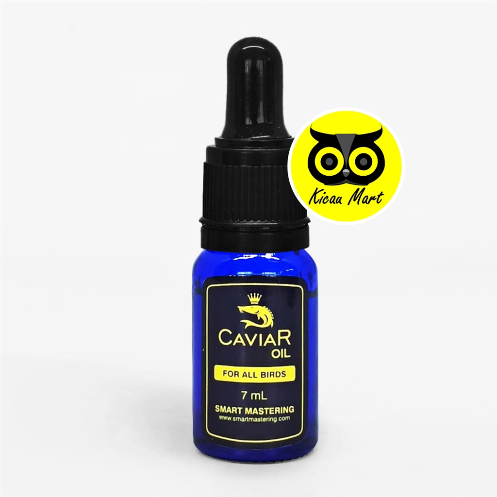 Caviar Oil Smart Mastering High Suplement Vitamin Dopping Burung Murai Kenari Cucak Lovebird Kacer Pleci Gacor Juara Lomba Multivitamin Smart Mastering Obat Penggacor Atasi Serak Macet Bunyi