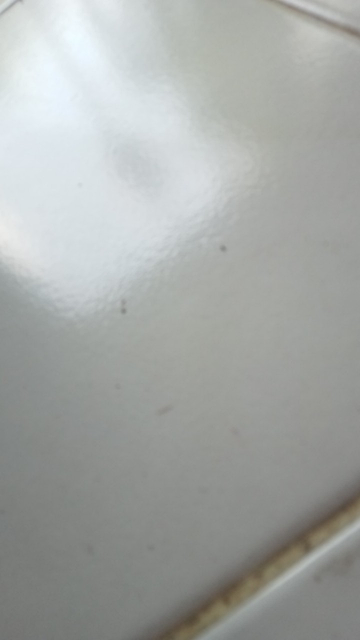 B ( B6 ) My Bottle Transparan Warna / Botol Minum Tahan Pecah Kwalitas Terbaik