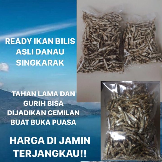 

Ikan Bilih Asli Danau Singkarak