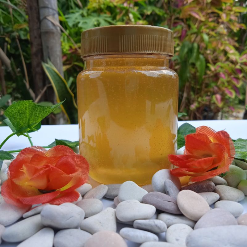 

Madu Kelengkeng 100% Asli 250gram/ Madu Asli/ Madu Murni/ Madu Randu/ Madu Kelengkeng/ Madu Hitam/ Madu Klanceng/ Madu Pahit/ Madu Apis Trigona/ Madu Apis Mellifera/ Bee pollen/ Royal Jelly/ Kurnia Madu