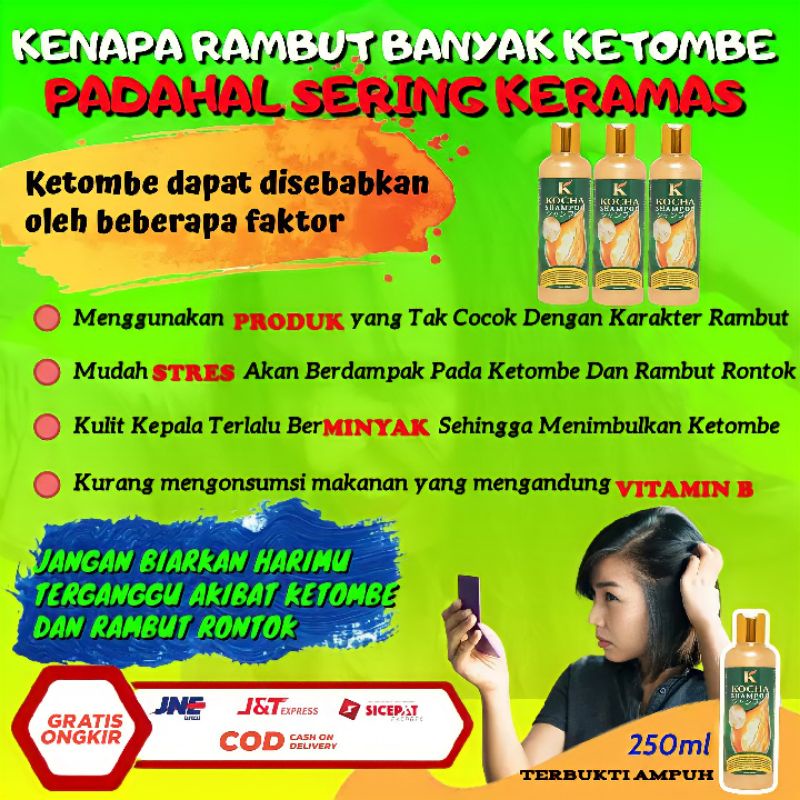 Shampoo Anti Ketombe Dan Rambut Rontok 250ml Kocha Shampoo Anti Ketombe Dan Anti Dandruff-2