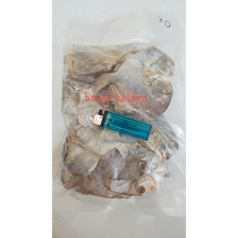 

ikan asin bawal kelapa 100gr