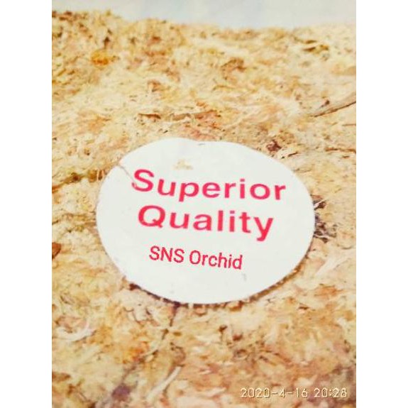Pusat Grosir Top Produk - Media Tanam Spaghnum Moss Sphagnum Mos Spagnum Lumut Putih 200 Gr Press Pres JlDynJdheOxdEo