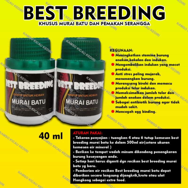 BEST BREEDING + BESTBREEDING + BEST BREDING + BESTBREDING + BEST BREEDING MURAI BATU  + BESTBREDING 