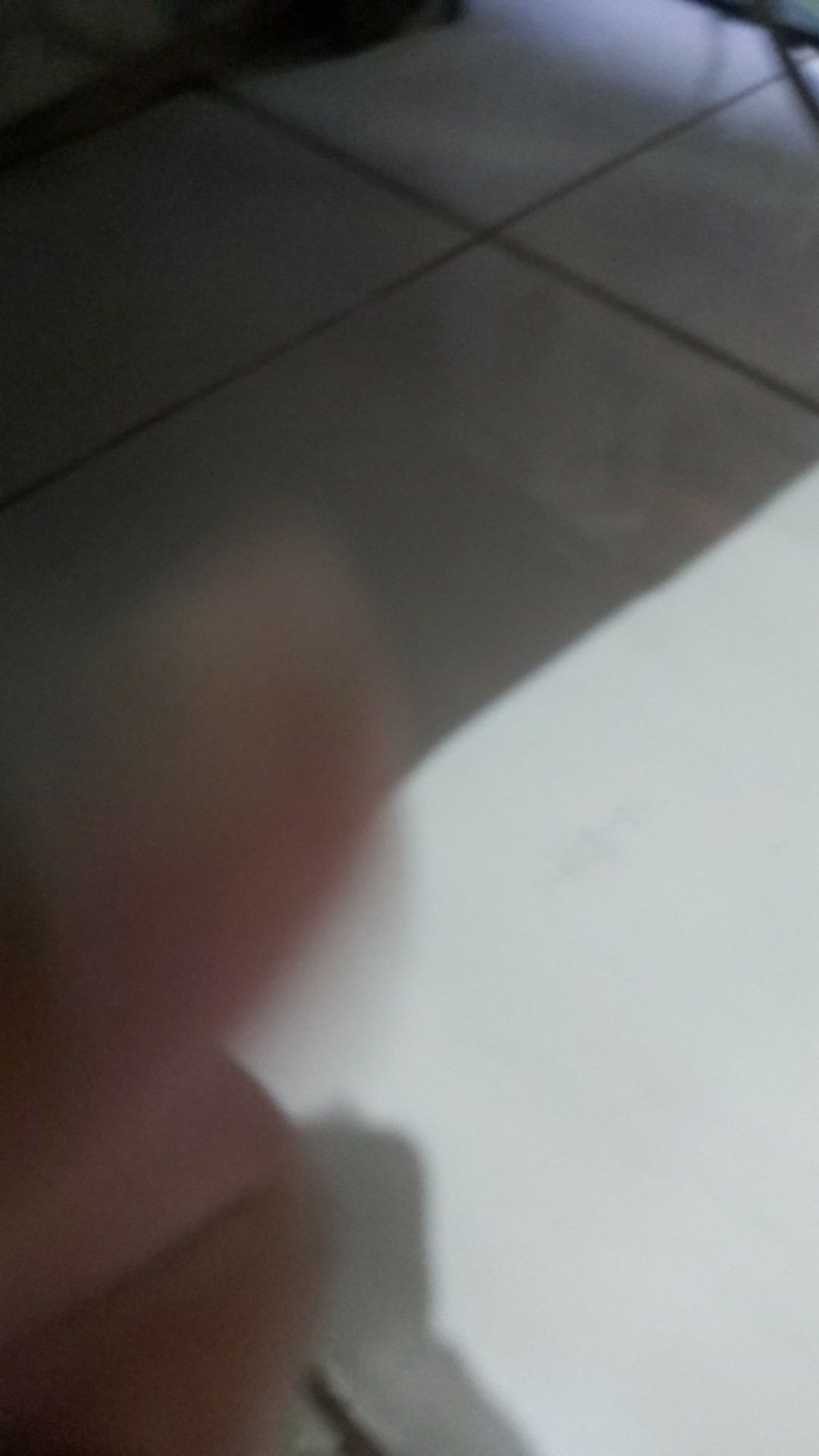 Tanaman Hias Peace Lily Sepatu Phylum Pohon Sepatu Pilem