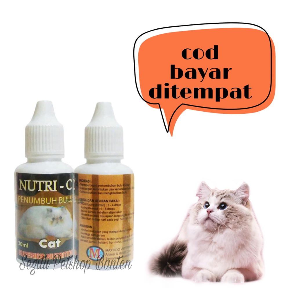 Obat Kucing Bulu Rontok Vitamin Penumbuh Bulu Kucing Nutri C