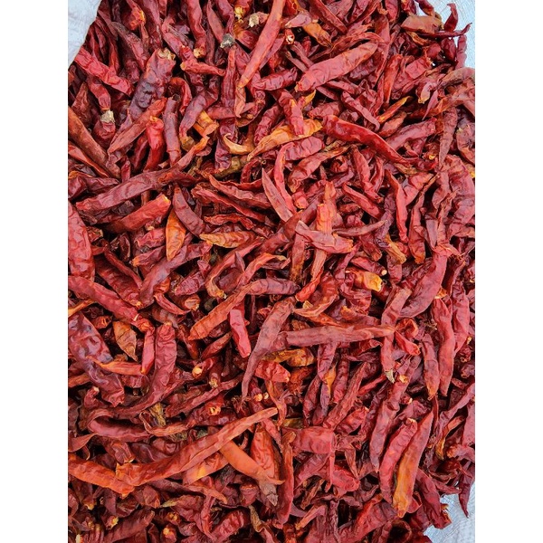 cabe rawit / cabe rawit teja 100gr