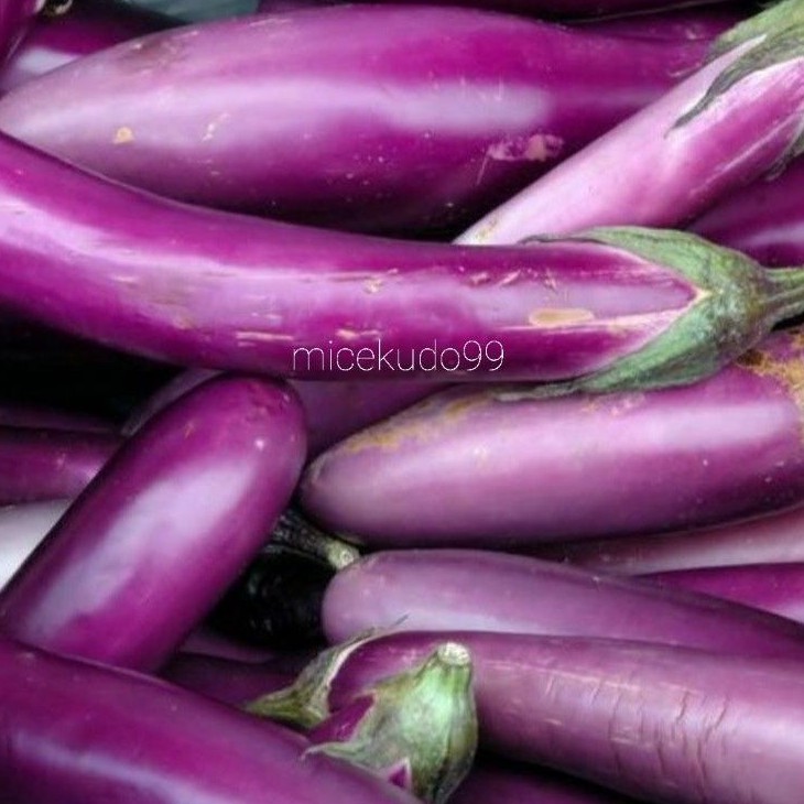

TERONG UNGU SEGAR 500GR ORGANIK / PURPLE EGGPLANT FRESH ORGANIC