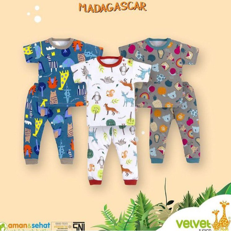SETELAN 3psg  LENGAN PENDEK + CELANA PANJANG (CPR) Madagaskar Velvet Junior Madagascar