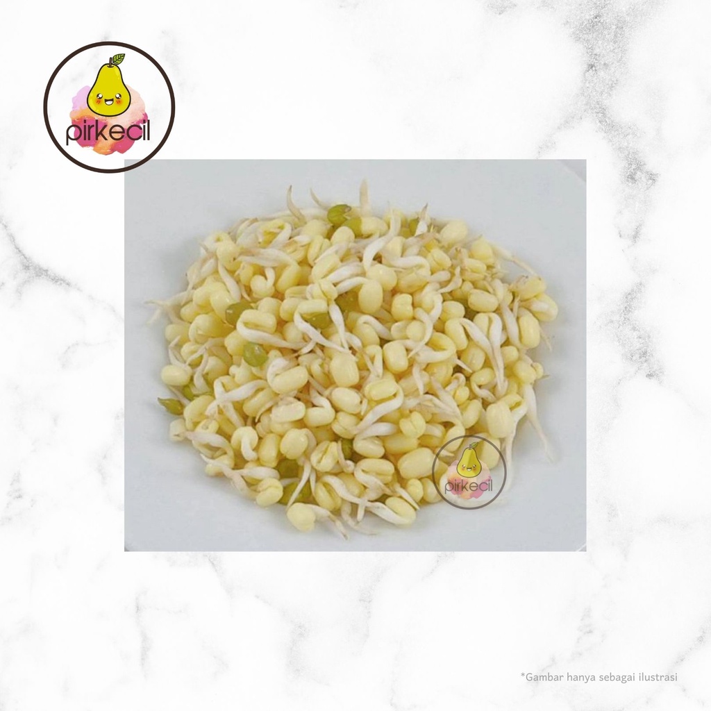 

Toge Rawon / Tauge pendek 200 gr