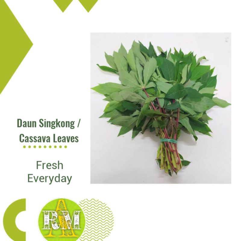 

DAUN SINGKONG / CASSAVA LEAVES 1 IKAT