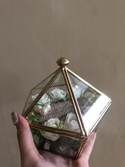 Tempat Cincin Terrarium