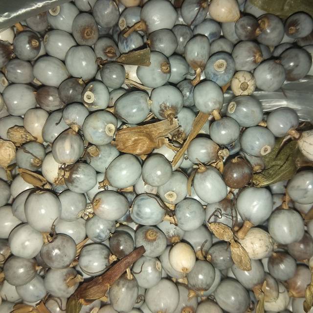 Biji Jali-Jali isi 200 biji