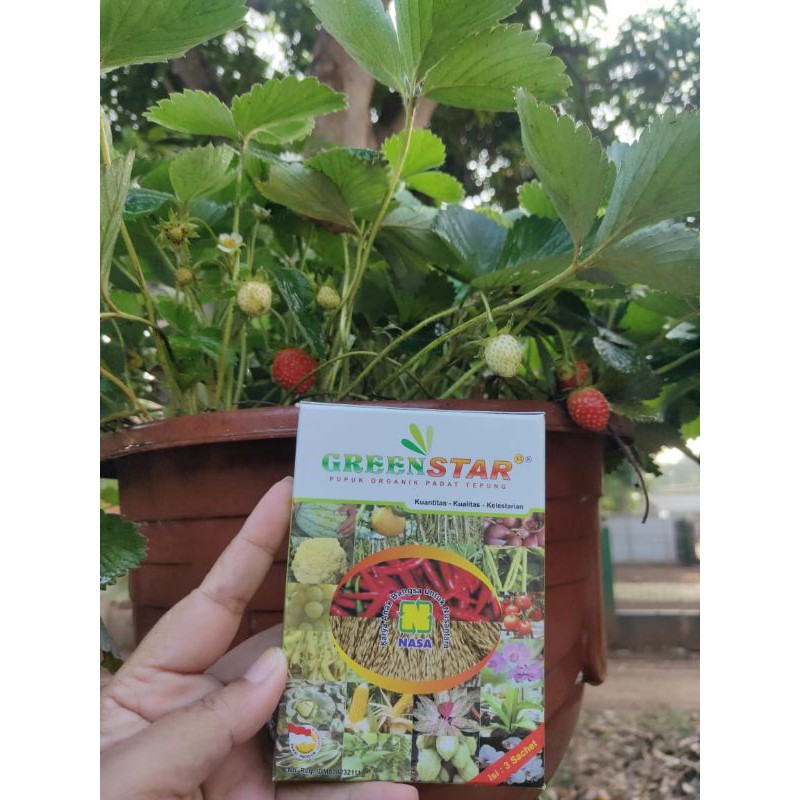 Pupuk Green Star NASA