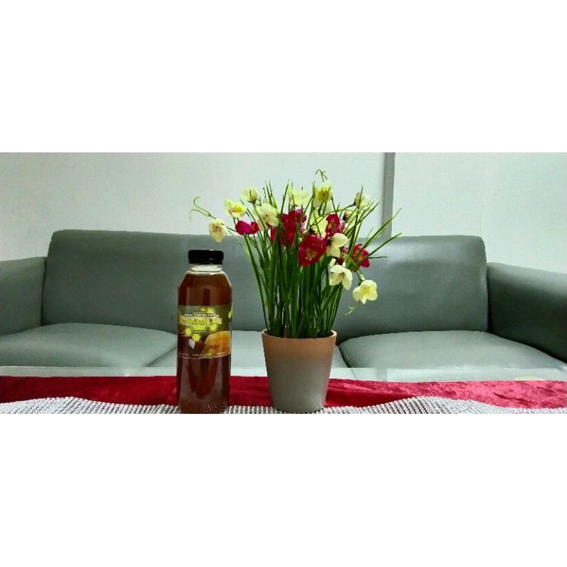 

MADU HUTAN SUMATRA 500ML