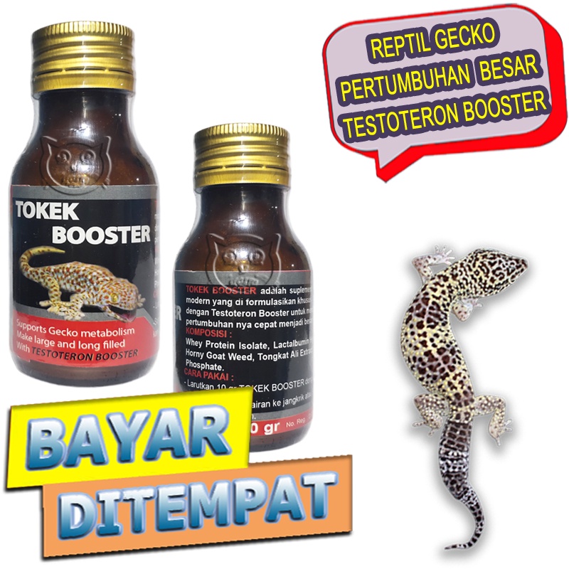 Tokek Booster Vitamin Reptil Gecko Pertumbuhan Panjang Besar