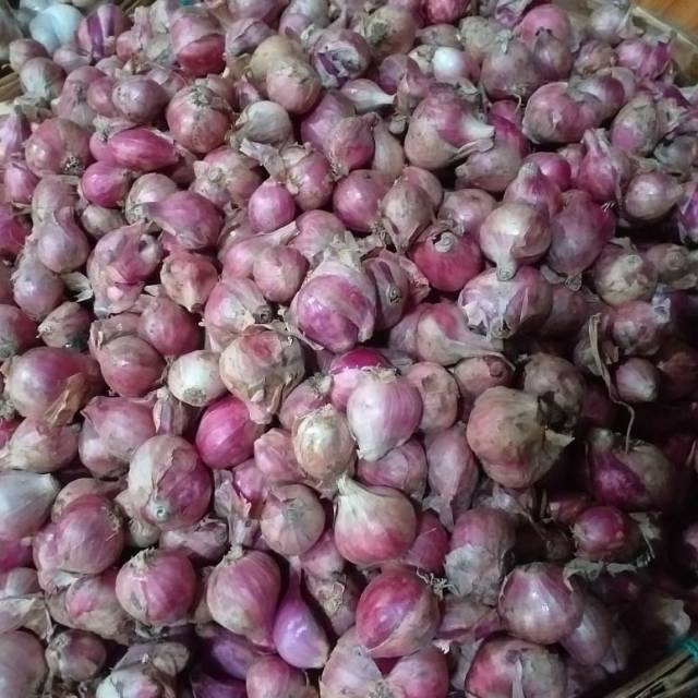 

Bawang merah