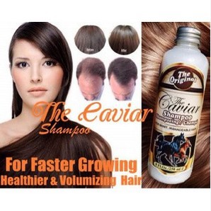 caviar shampoo / shampo kuda / shampoo kuda