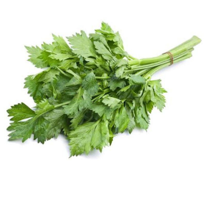 

daun sledri fresh per 250gram