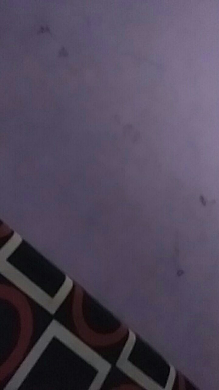 Kemeja Batik Pria Semi Sutra Silky Premium Puring Istimewa