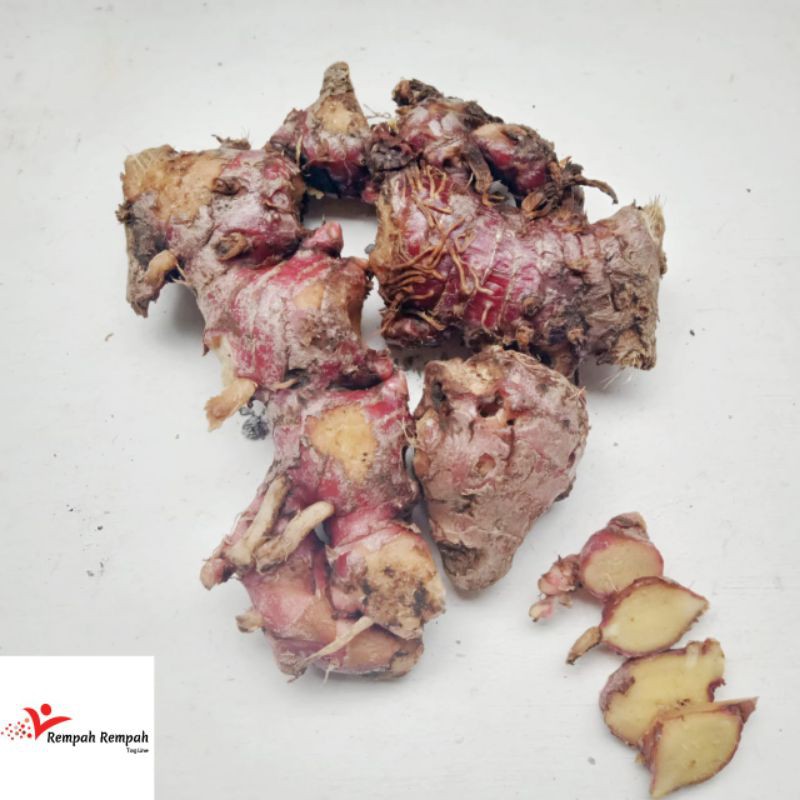 

jahe merah medan segar 250gram/500gram