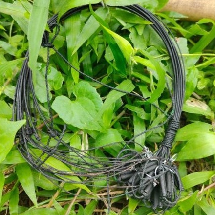 Jerat Burung Ruak2 Jerat Ruak Gantung Racik Ruak Ruak anti badai