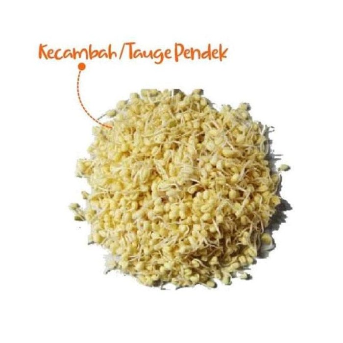 

Tauge Pendek Kecambah 1 Pack