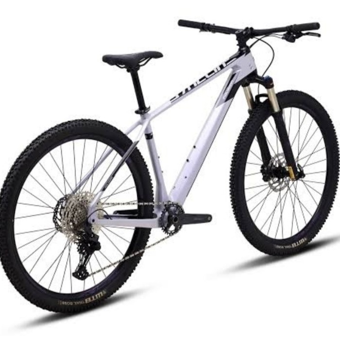 Sepeda MTB 29" Polygon Syncline C2 (Size L)