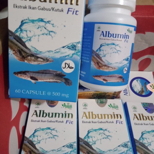 ALBUMIN FIT 60 Kapsul Ekstrak Ikan Gabus Cepat Sembuh PASCA OPERASI / Ekstrak Ikan Kutuk