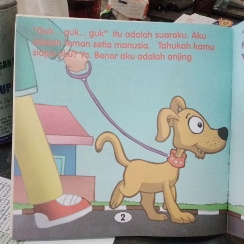 Buku Paket Isi 4 Seri Mengenal Hewan