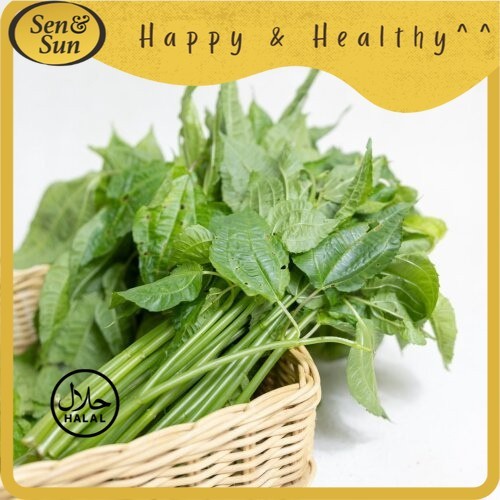 

Sen&Sun Daun Pohpohan Conventional 200 gr