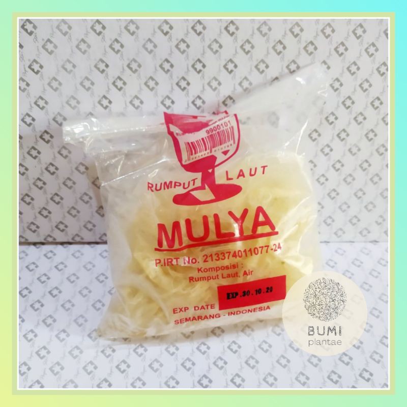 

Rumput Laut Mulya 120 gram