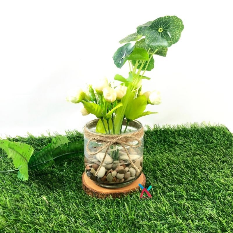 (1pcs) Vas Kaca 500ml | Vas Kaca Rami | Vas Kaca Bulat | Vas Tanaman Hias | Vas Tanaman Hidup | Vas Kaca Hidroponik | Vas Kaca
