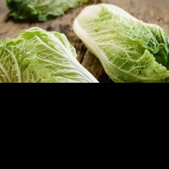 

Sayur Sawi Putih
