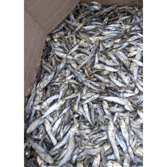 

ikan asin teri lemet kering,termurah per500gr