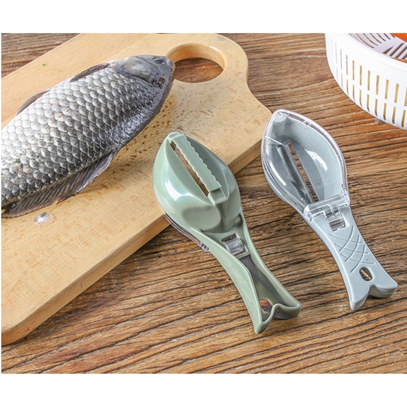 Alat dapur rumah tangga dengan penutup ketam sisik ikan, pengikis sisik sisik ikan dapur, artefak sisik ikan manual, pengikis peralatan dapur sisik ikan