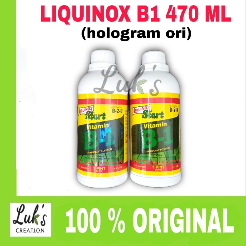 Jual VITAMIN B1 LIQUINOX HOLOGRAM 470 Ml Jaminan Original | Shopee ...