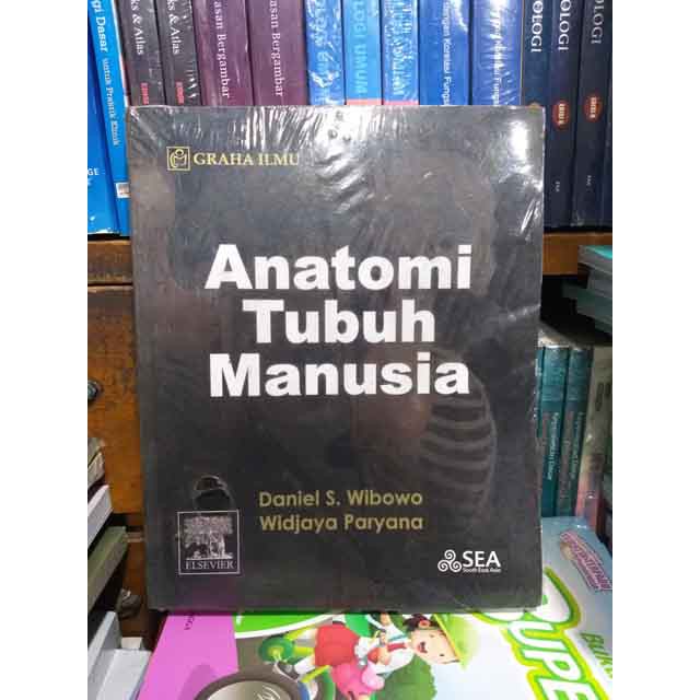 Anatomi Tubuh Manusia