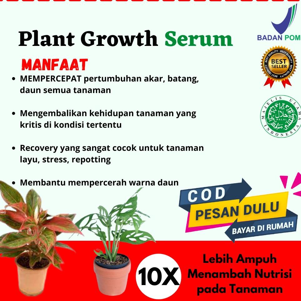 [PRODUK SEVLW] Serum Tanaman Hias Lebih Ampuh dari Albero Aglonema Alami Organik Pupuk Cair Plant Gr
