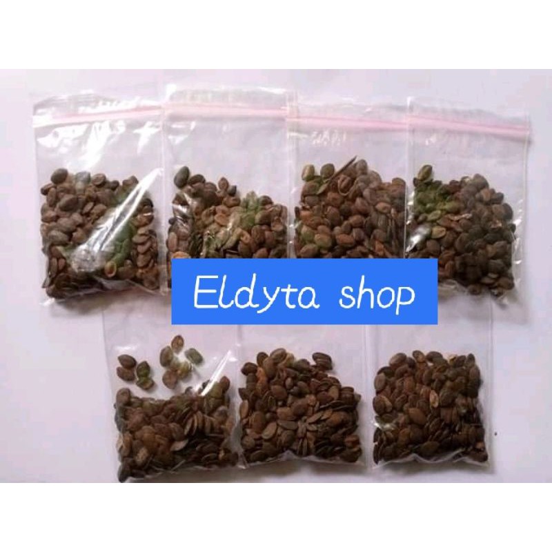 

jual biji kaliandara merah 100grm