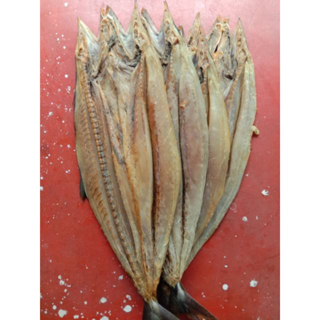 

Ikan tenggiri / Telang Tenggiri