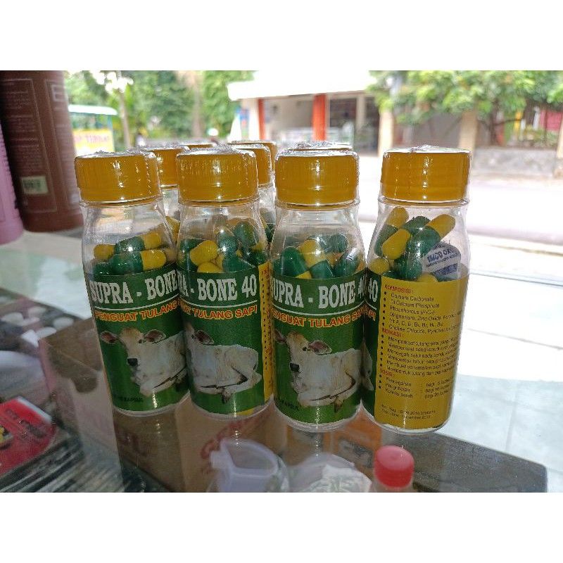 

SUPRA-BONE | PENGUAT TULANG SAPI (40kapsul)