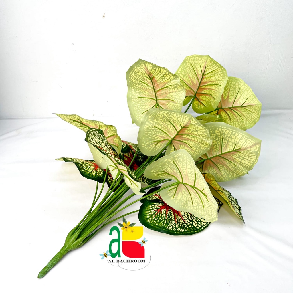 TANAMAN PLASTIK AGLONEMA D18T60 MONSTERA KELADI B8180 VARIASI NO.1-10 DAUN JUMBO DAUN ARTIFICIAL HIASAN RUMAH KANTOR CAFFE