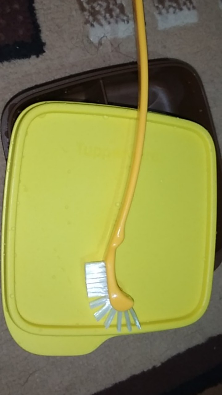 Sikat Tupper Brush