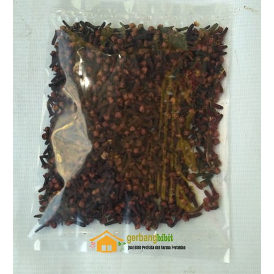 Biji Cengkeh Kering Super 500 Gram Untuk Jamu Herbal Tradisional