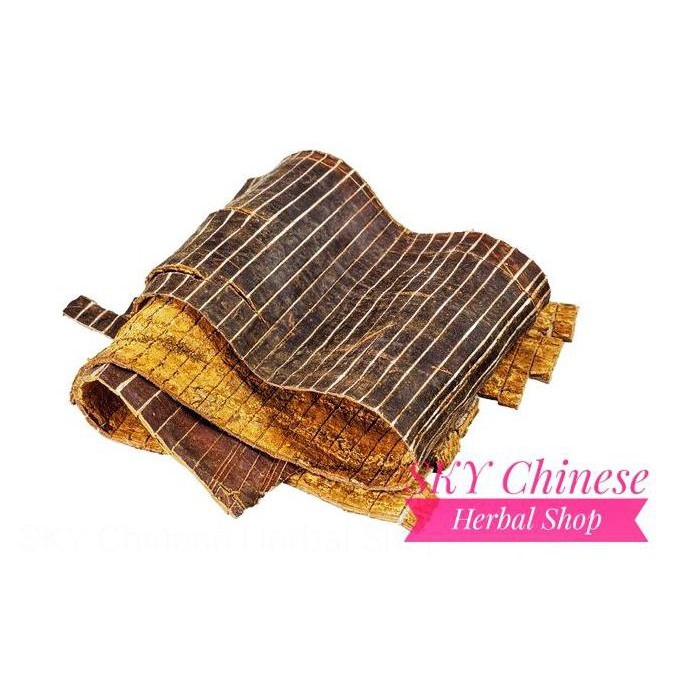 

Produk Terbaik] Du Zhong Premium / Eucommia Bark (600 Gram)/ To Tiong Duzhong Totiong