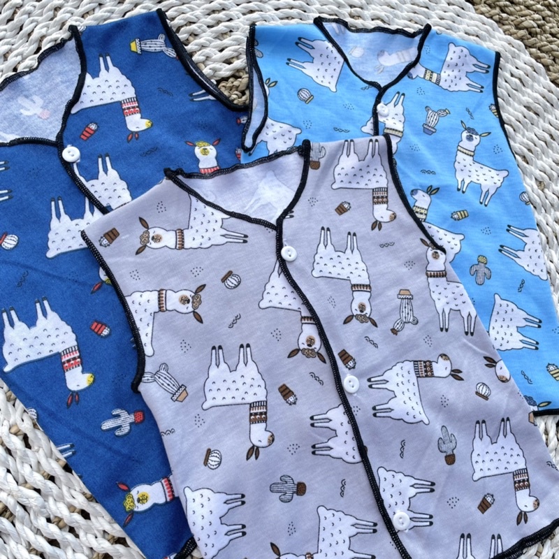 3 PCS Baju Bayi Baju Bayi Baru Lahir Baju Bayi Newborn Hampers Bayi Gift Lahiran Bayi Atasan Baju Bayi DNW BABY