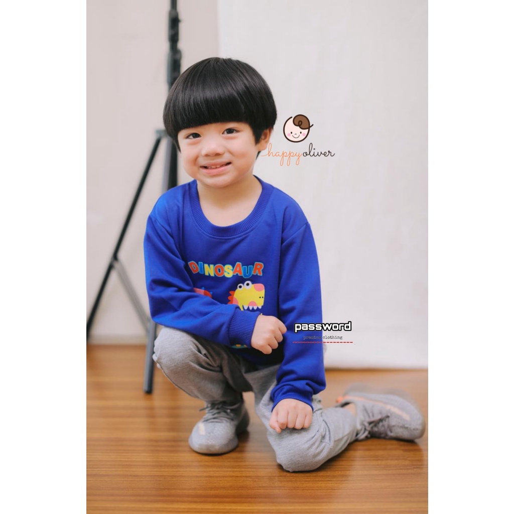 HappyOliver PASSWORD DINO DUDE Setelan Sweater 1 - 7 Tahun Baju Anak BerKualitas